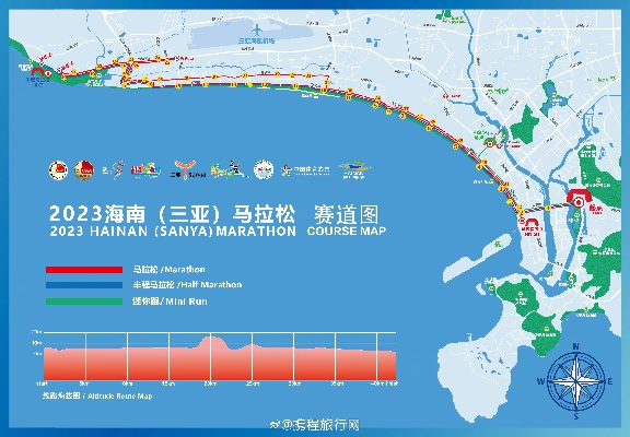 2023年济州岛马拉松官网发布啦，赶紧报名参加-第1张图片-www.211178.com_果博福布斯